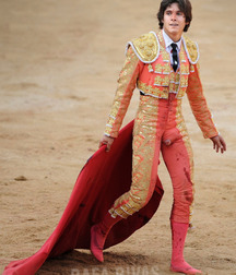 Sometimes it is the bull to win 58f8445d5bc0f.jpg