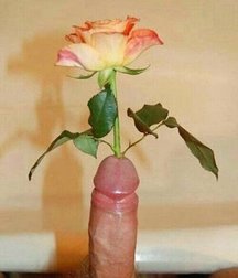Funny photos 592d78fae2dc7.jpg