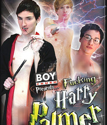 Gay movie poster (parody) 593844c867b18.jpg