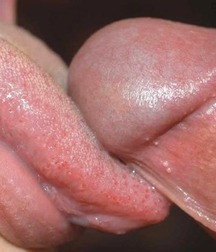 Gay sex  5943fa4d8cd32.jpg