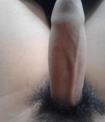 Many, so many cocks 594974fa16293.jpg