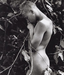 Beautiful photographs 597cf71cebada.jpg