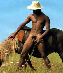Boys and horses 59a2446db0382.jpg