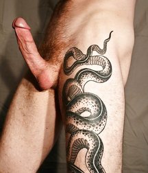 for those who love tattoos 59d25ff23deb2.jpg