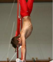 masculine artistic gymnastics 59d3ac5ba95a5.jpg