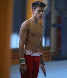 masculine artistic gymnastics 59d3ac620f691.jpg