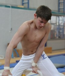 masculine artistic gymnastics 59d3ac80b759f.jpg