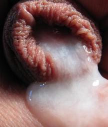 cum for you 59d8e205c433a.jpg