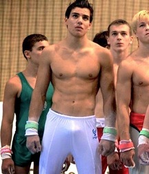 male artistic gymnastics ( no porn)