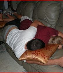 it's nice to sleep with a friend 59f7a7f301fc0.jpg