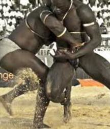 the virility of African wrestlers 59ff5337ac6cf.jpg