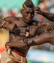 the virility of African wrestlers 59ff534188b0f.jpeg