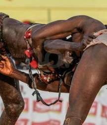 the virility of African wrestlers 59ff5342b8a02.jpeg