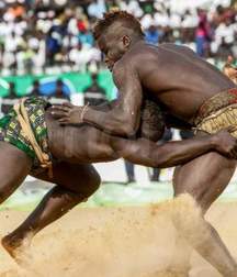 the virility of African wrestlers 59ff5344e0acd.jpeg