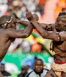 the virility of African wrestlers 59ff534746f73.jpeg
