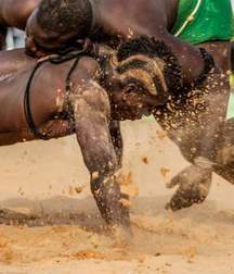 the virility of African wrestlers 59ff53486da33.jpeg