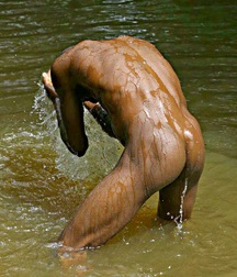 the freshness of the water 5a060d7b7ca2f.jpg