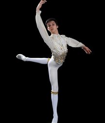 the art of dance 5a2aa18724024.jpg