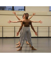 the art of dance 5a2aa18fcf314.jpg