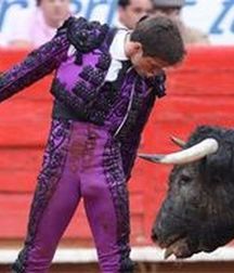 the torero's sensuality 5a33f7bfccd66.jpg