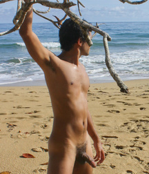 on the beach alone and naked 5a3b611f410fa.jpg