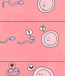 funny pictures 5a3b6182a6005.jpg