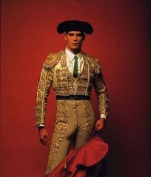 bull and bullfighter