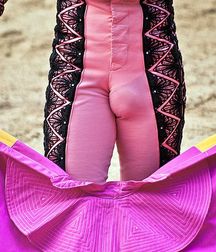 bull and bullfighter 5a3bb3604588c.jpg