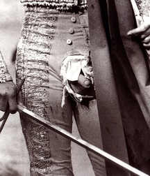 bull and bullfighter 5a3bb365621fa.jpg
