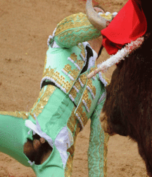 bull and bullfighter 5a3bb36686657.gif