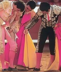 bull and bullfighter 5a3bb36808768.jpg