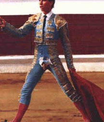 bull and bullfighter 5a3bb36983d1e.jpg