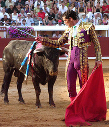 bull and bullfighter 5a3bb36c831c9.jpg