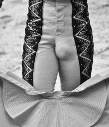bull and bullfighter 5a3bb3746de54.jpg