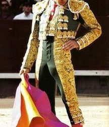 bull and bullfighter 5a3bb376a6e3d.jpg