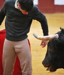 bull and bullfighter 5a3bb3779090e.jpg