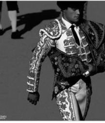 bull and bullfighter 5a3bb37c9eca9.jpg