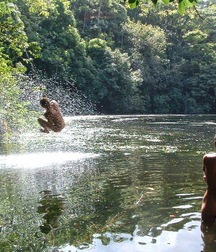 guys dive into the water without shame 5a3e37f157946.jpg