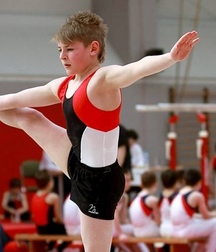 male artistic gymnastics  5a3f62cb1d87d.jpg