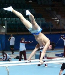 male artistic gymnastics  5a3f62cd38c43.jpg