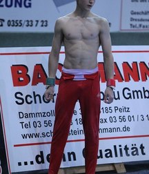male artistic gymnastics  5a3f62d487738.jpg