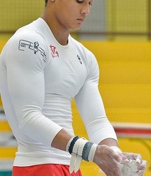 male artistic gymnastics  5a3f62df0daf6.jpg