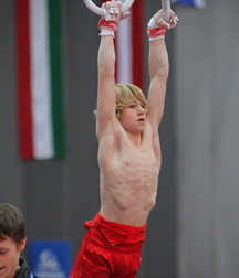 male artistic gymnastics  5a3f62e9086aa.jpg