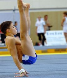 male artistic gymnastics  5a3f62ec4dc6d.jpg