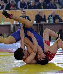 wrestling 5a651ddf0da62.jpg