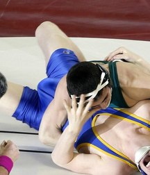 wrestling 5a651de01f7e2.jpg
