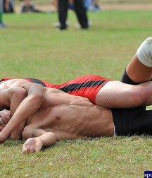 wrestling 5a651de76ffba.jpg