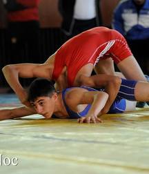 wrestling 5a651dec36841.jpg