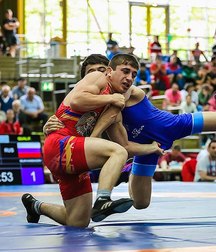 wrestling 5a651ded3e04e.jpg