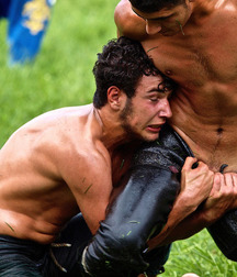 the oldest fight in the world 5a679b919790f.jpg